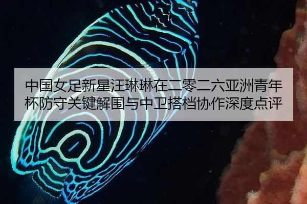 中国女足新星汪琳琳在二零二六亚洲青年杯防守关键解围与中卫搭档协作深度点评